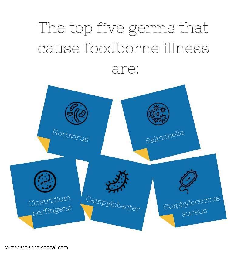 top five germs that cause foodborne illness